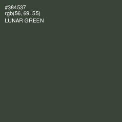 #384537 - Lunar Green Color Image